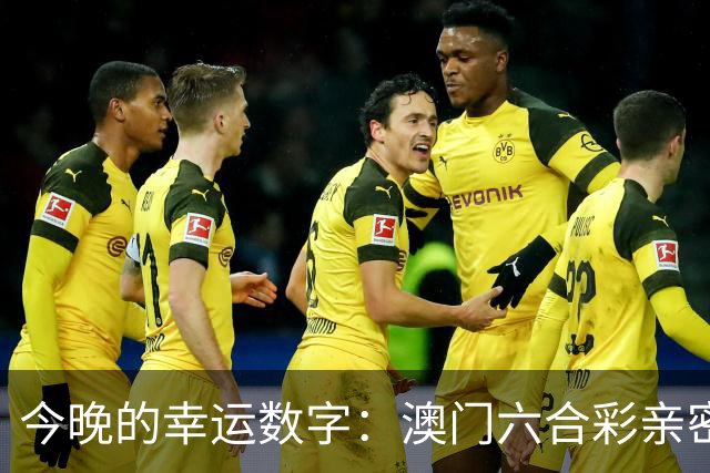 今晚的幸运数字：澳门六合彩亲密分享会